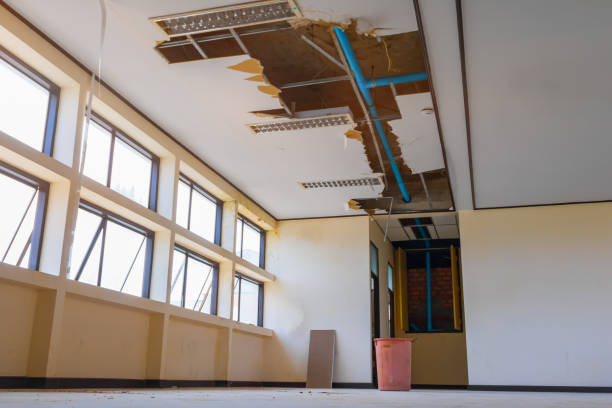 Best Water damage restoration process  in Hendersonville, NC