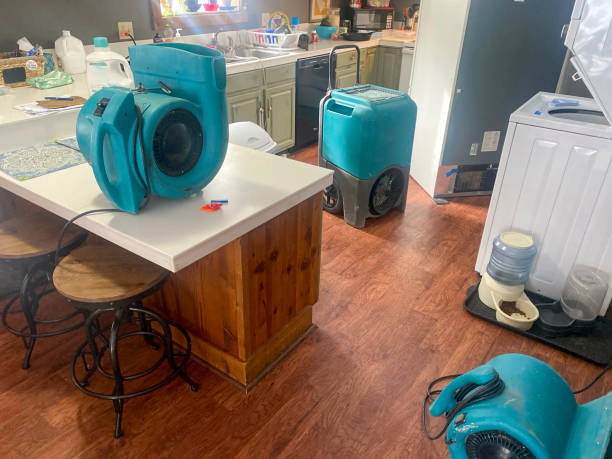 Best Carpet water damage restoration  in Hendersonville, NC