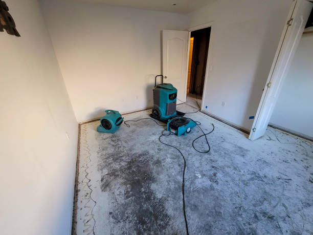 Best Fire Damage Restoration  in Hendersonville, NC