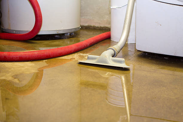 Best Mold removal after water damage  in Hendersonville, NC
