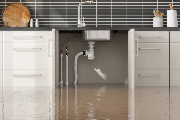  Hendersonville, NC Water damage restoration Pros