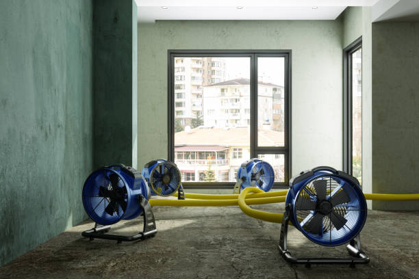 Best Water damage restoration near me  in Hendersonville, NC